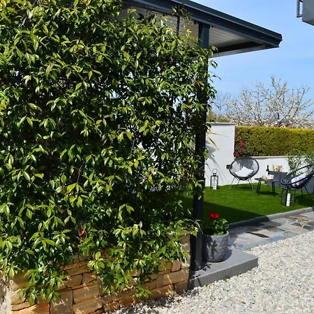 דירה Summer House In Dajletta Novigrad Istria