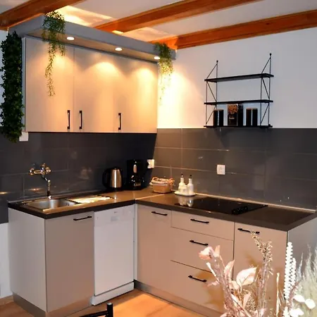 Summer House In Dajletta * Novigrad Istria